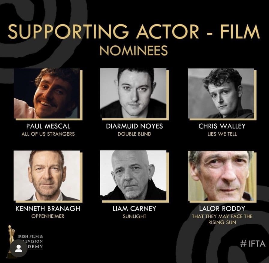 Lies We Tell IFTA Nominee 2024 - Supporting Actor